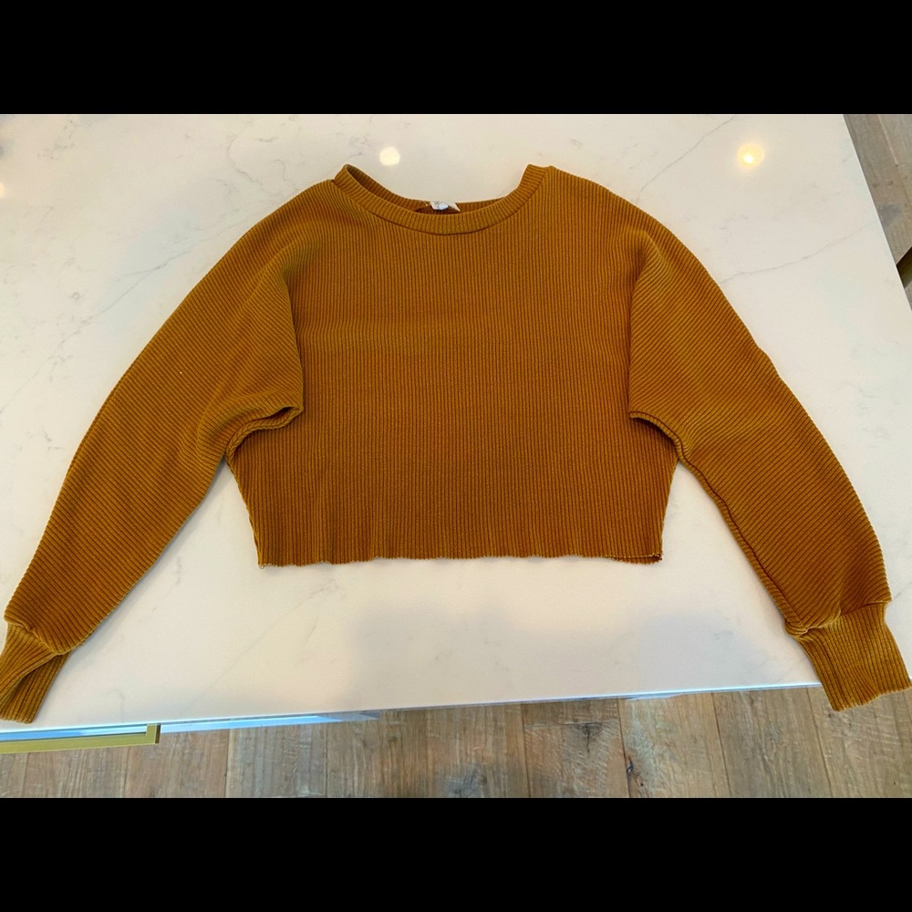 brown sweater cropped
